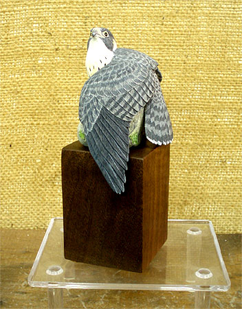 Peregrine Falcon  carved by Manfred Scheel