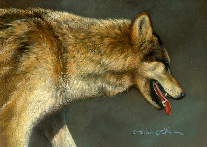 Moving Off - Wolf - by Rebecca Latham