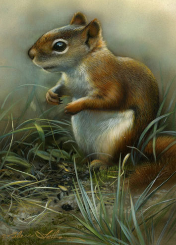 Red Squirrel by Rebecca Latham