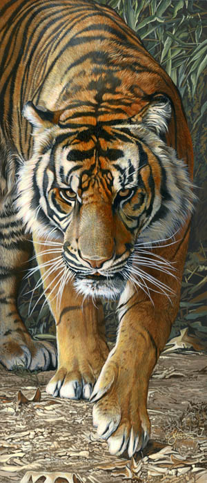 Tiger Walkin - wildlife painting by Scot                  Storm