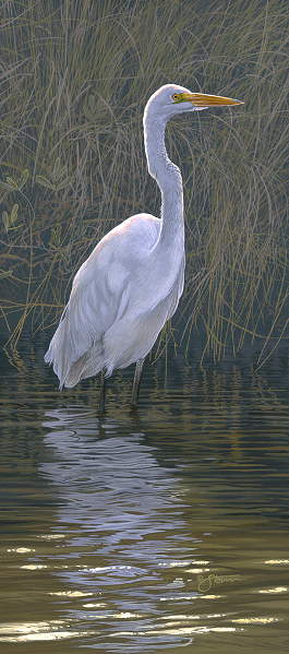 Great Egret - Wildlife painting by Scot  Storm