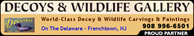 Decoys Gallery