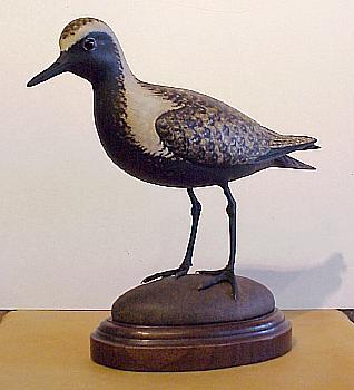 Great Golden Plover