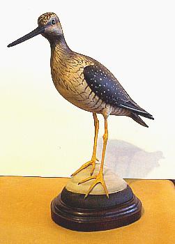 Greater Yellowlegs