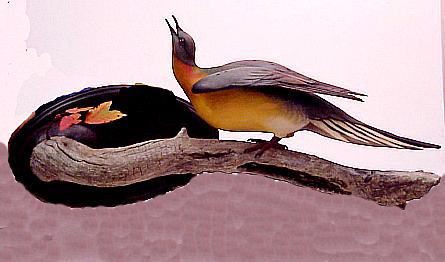 Passenger Pigeon