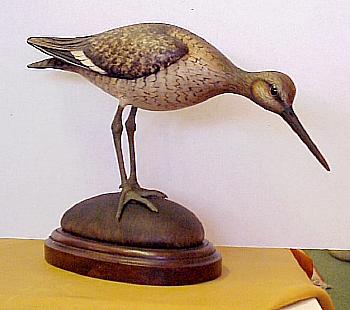 Willet