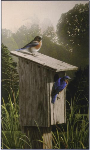 Wildlife Scene - birdhouse by Richard Clifton