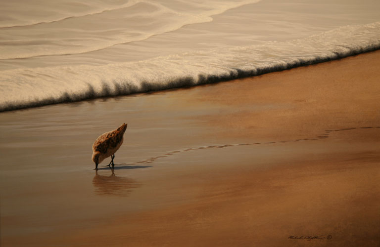 Tracks in the Sand / Sandpiper by Richard Clifton