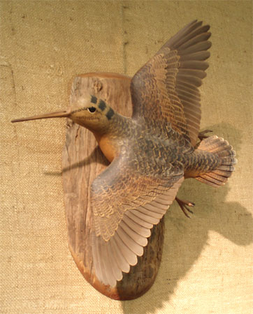 Frank Finney Life Size Flying Woodcock