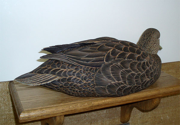 Life Size Decorative Black Duck - Ben Heineman - tail detail  ...loading...