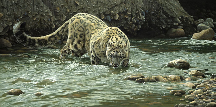 Adam Smith - High Country Run Off - Leopard in water