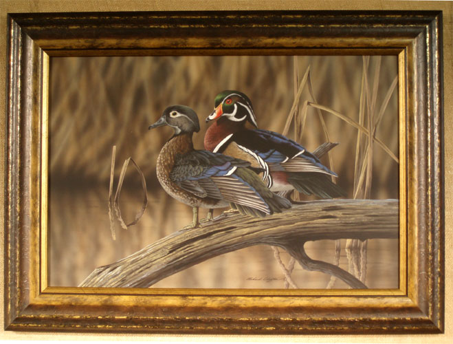 Wood Duck Pair by Richard Clifton