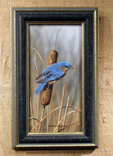 Bluebird by Richard Clifton