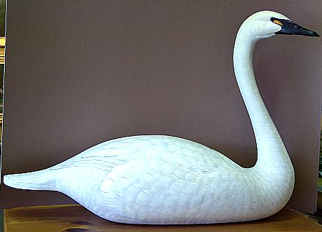 Ornamental Swan - Lifesize