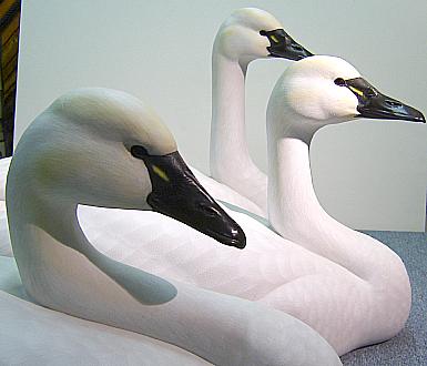 Swan Carvings - Lifesize