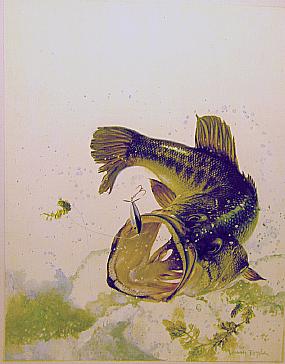 LEAPING LARGEMOUTH BASS (ACRYLIC) by Larry Tople ~ 030105_020
